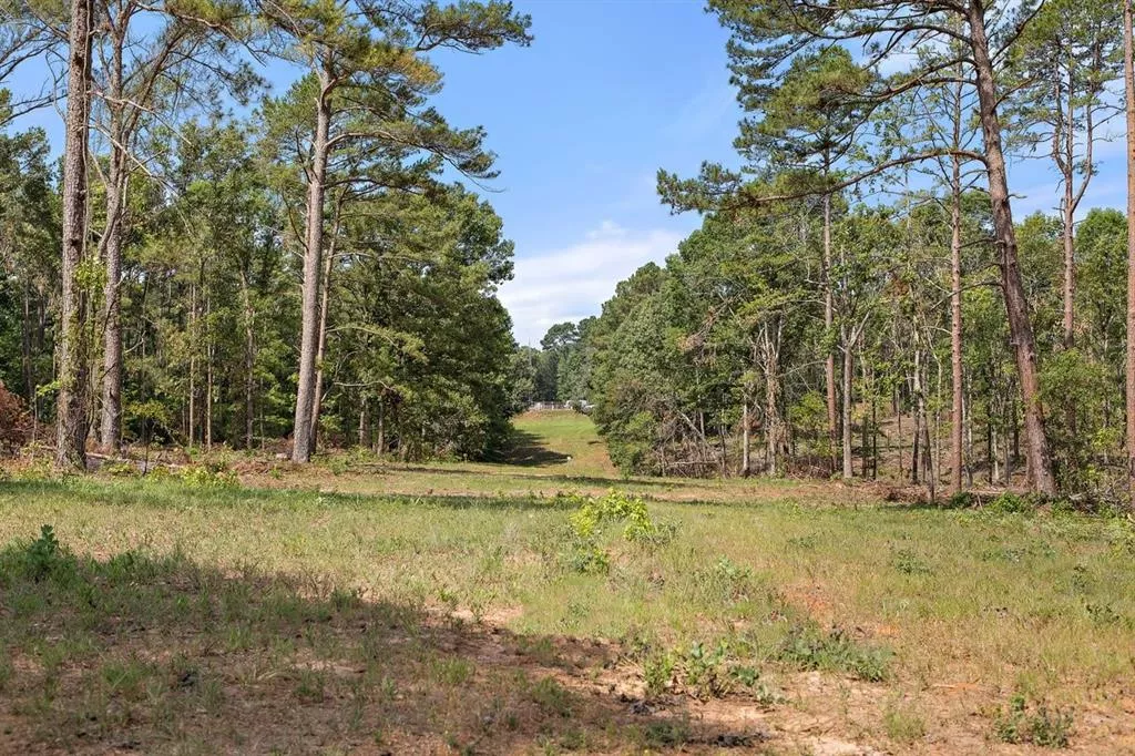 TBD (Tract A) FM 2012 Overton, Texas 75684