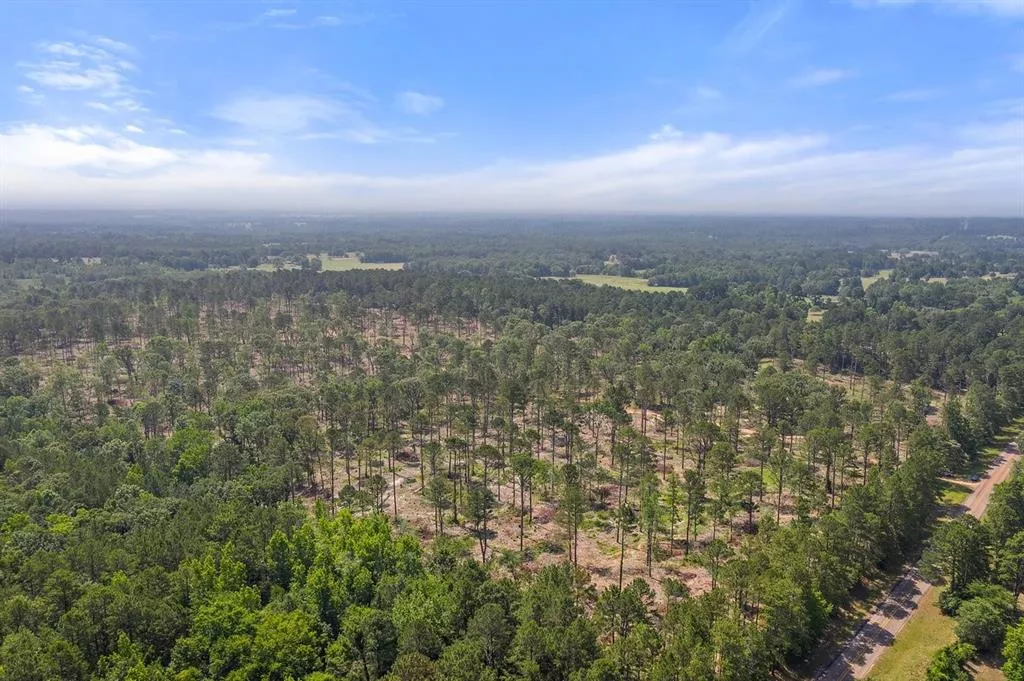 TBD (Tract B) FM 2012 Overton, Texas 75684