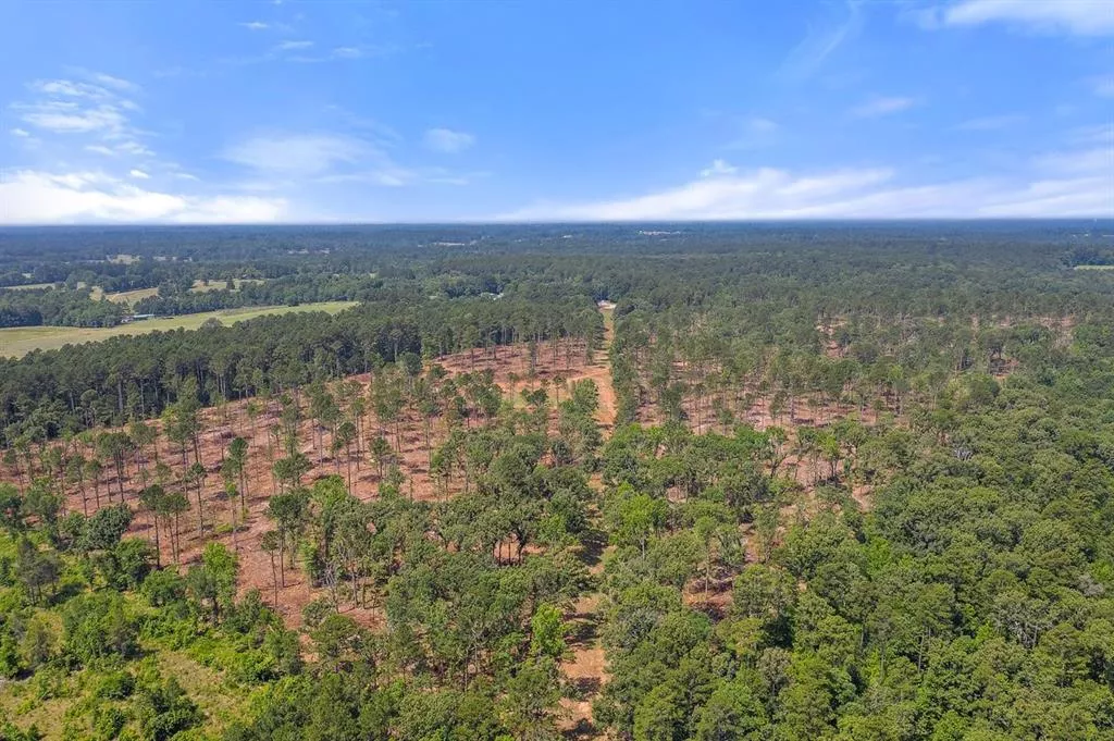 TBD (Tract B) FM 2012 Overton, Texas 75684