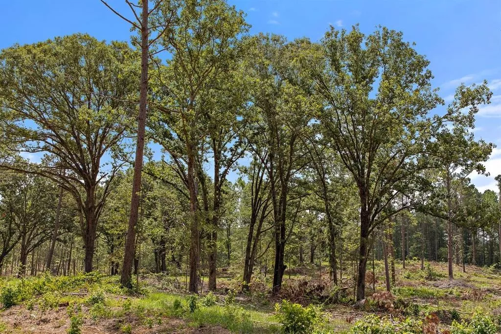 TBD (Tract B) FM 2012 Overton, Texas 75684