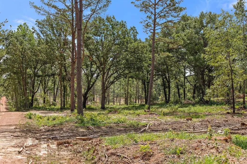 TBD (Tract B) FM 2012 Overton, Texas 75684