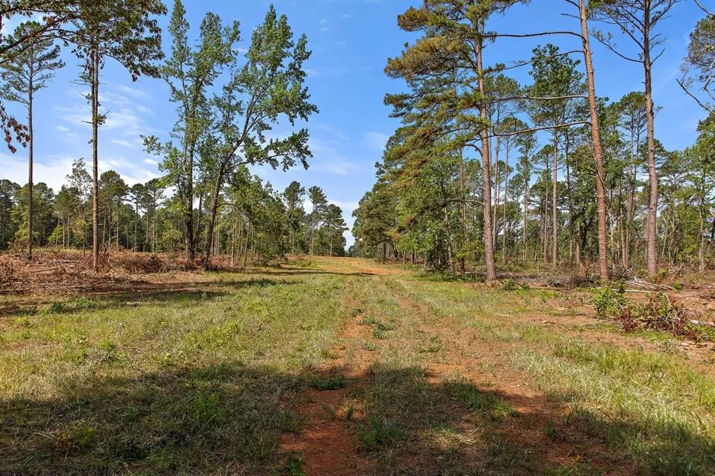 TBD (Tract B) FM 2012 Overton, Texas 75684