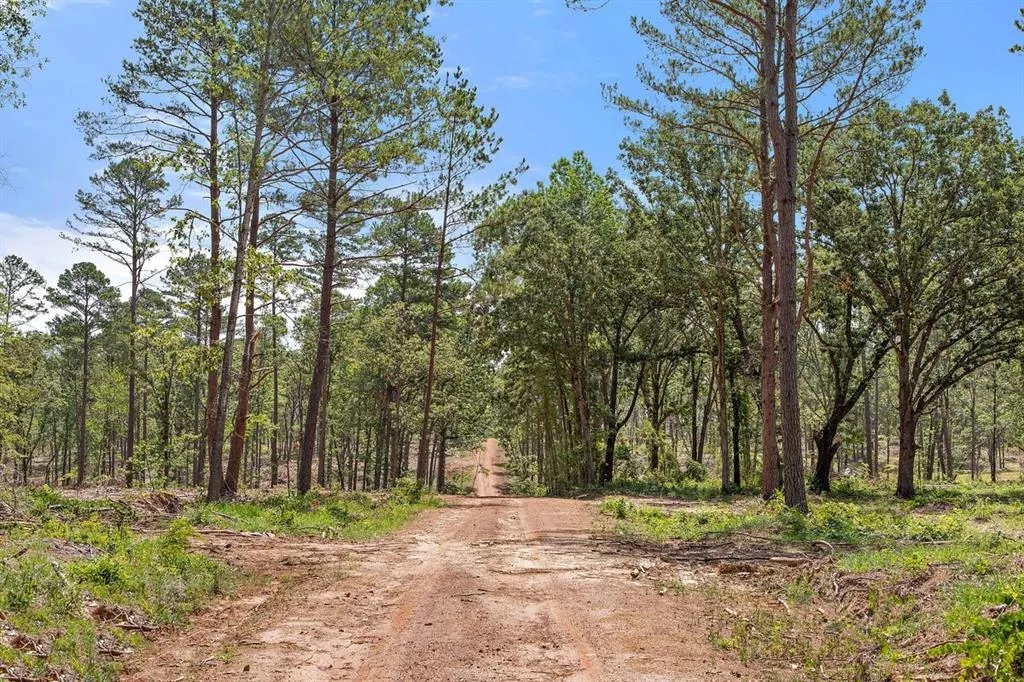 TBD (Tract B) FM 2012 Overton, Texas 75684