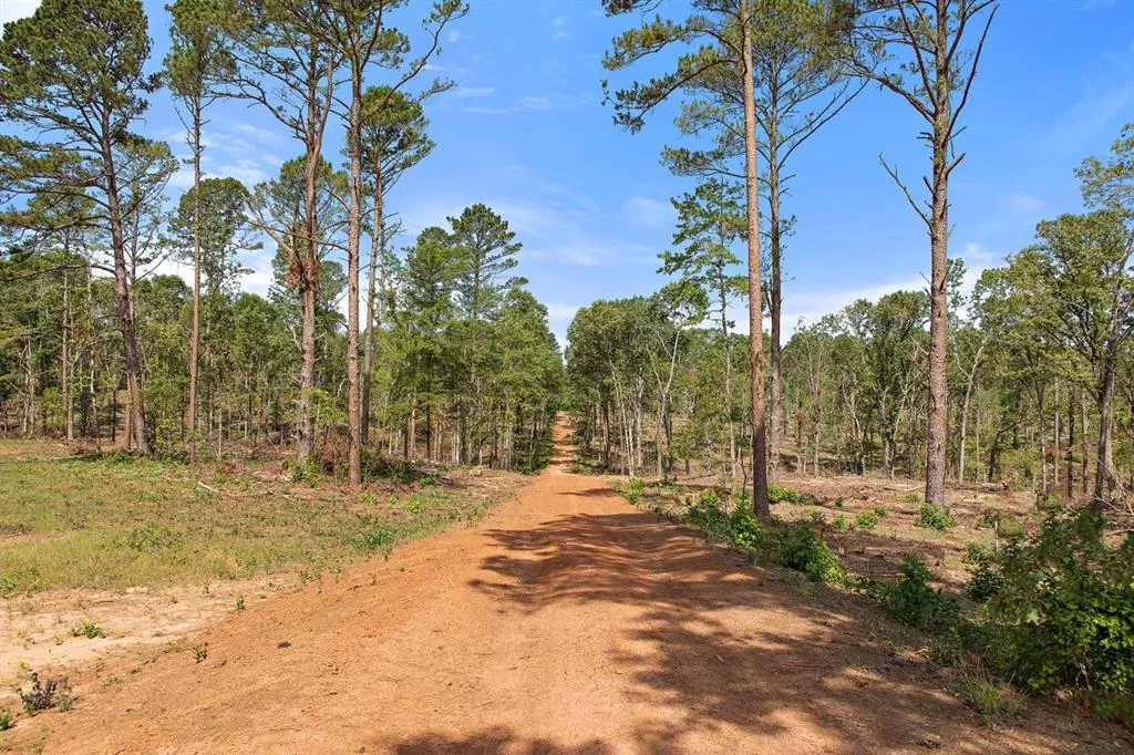 TBD (Tract B) FM 2012 Overton, Texas 75684