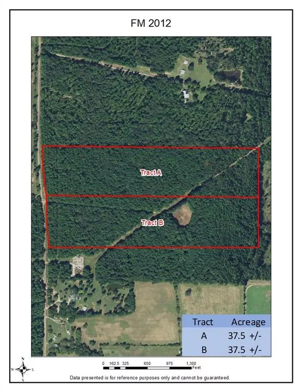 TBD (Tract B) FM 2012 Overton, Texas 75684