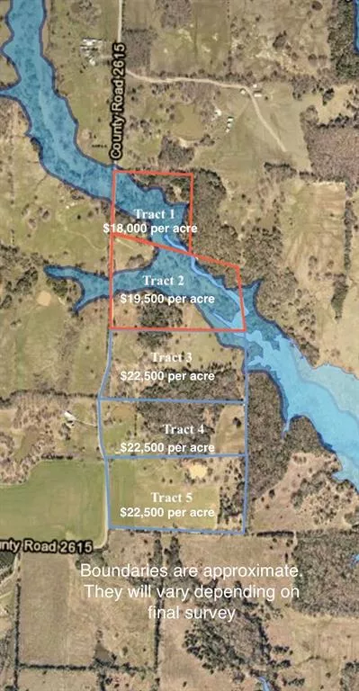 Tract 4 County Rd 2615 Lamasco, Texas 75488