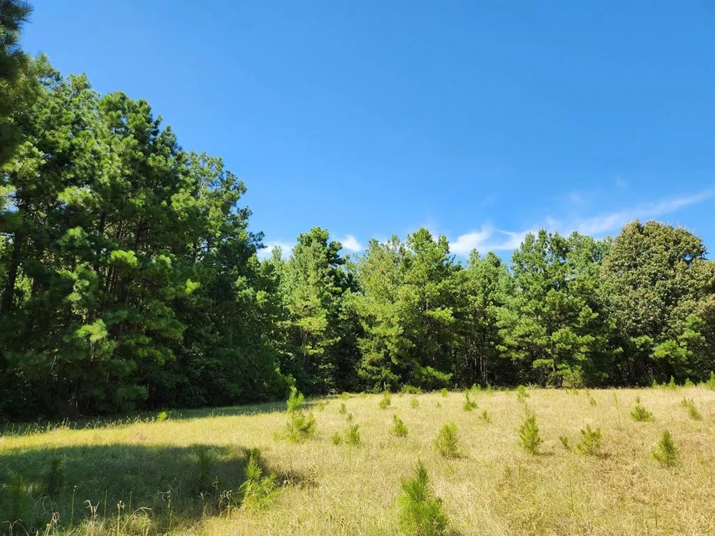 Tract 6A County Road 1131 Flint, Texas 75762