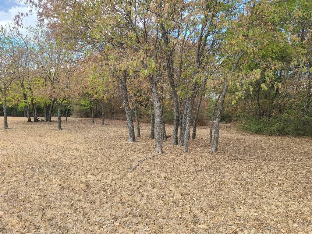 220A Southside Gainesville, Texas 76240