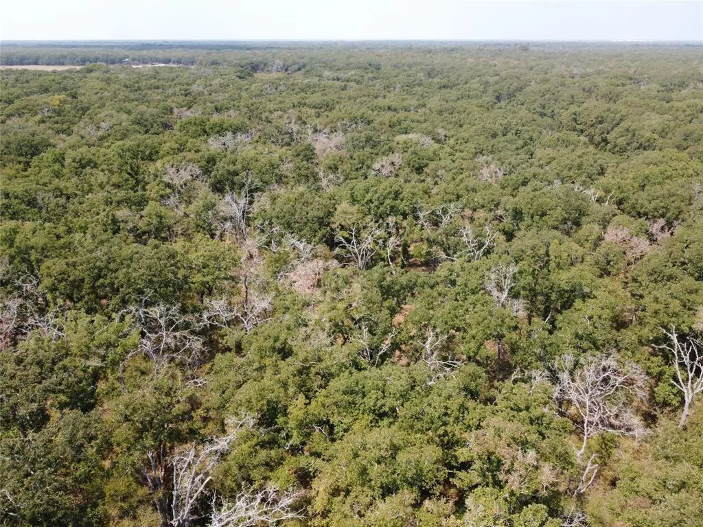 27 ac Harrill Lane, Quinlan, Texas 75474