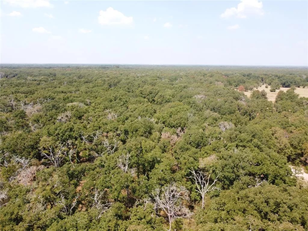 27 ac Harrill Lane, Quinlan, Texas 75474