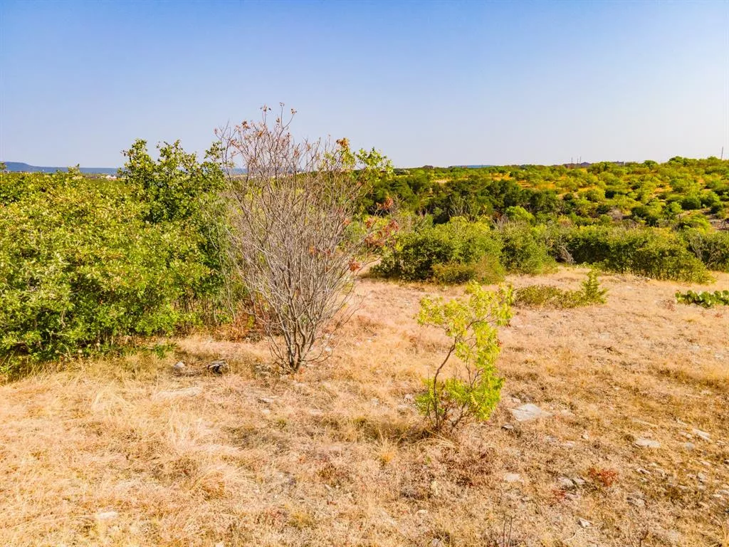 650 Baltrusol Drive, Graford, Texas 76449