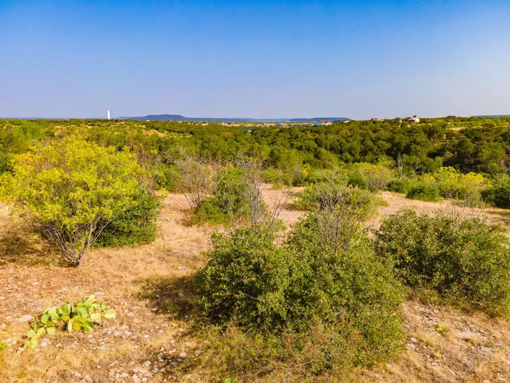 650 Baltrusol Drive, Graford, Texas 76449