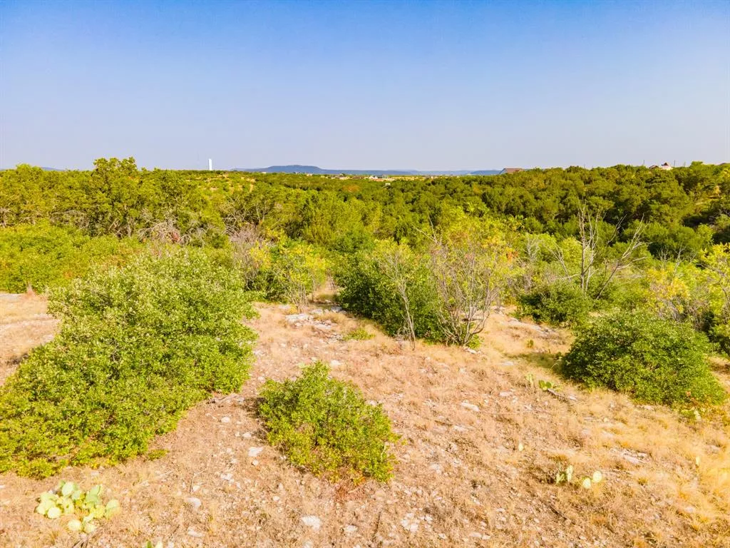 650 Baltrusol Drive, Graford, Texas 76449