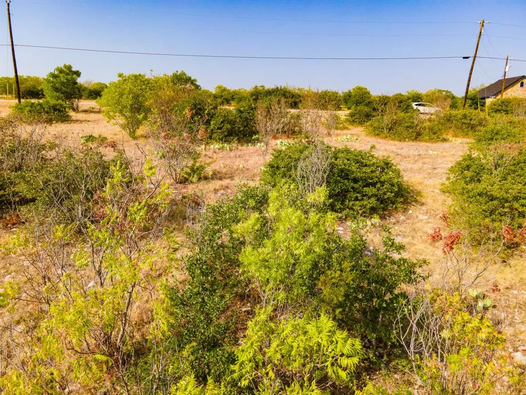 650 Baltrusol Drive, Graford, Texas 76449