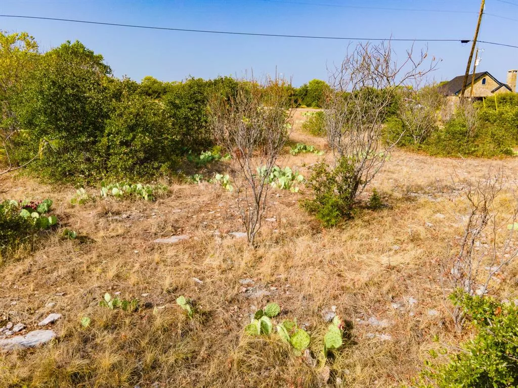 650 Baltrusol Drive, Graford, Texas 76449