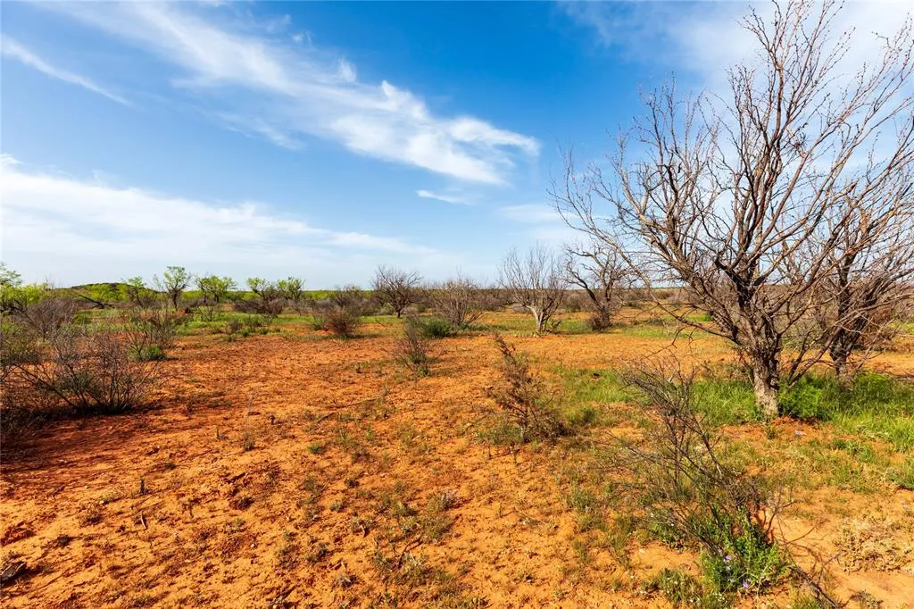 TBD County Road 321 Abilene, Texas 79606