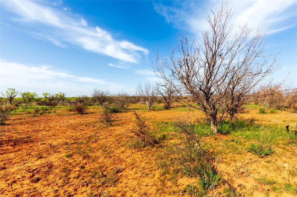 TBD County Road 321 Abilene, Texas 79606