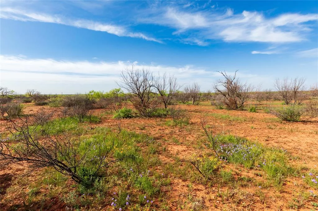 TBD County Road 321 Abilene, Texas 79606
