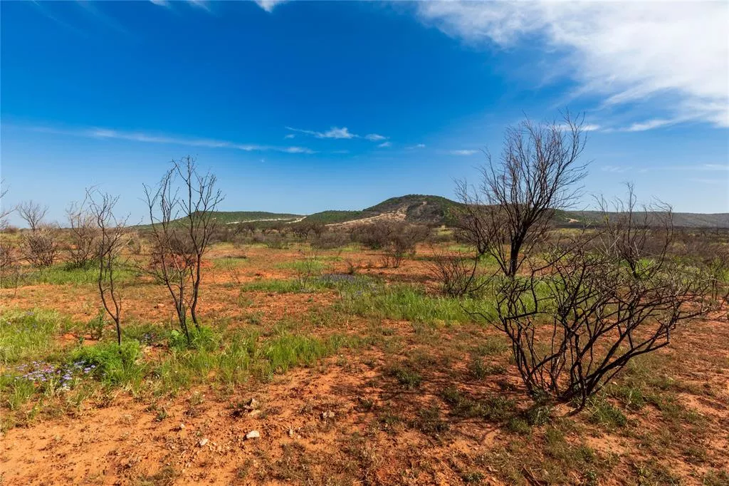 TBD County Road 321 Abilene, Texas 79606