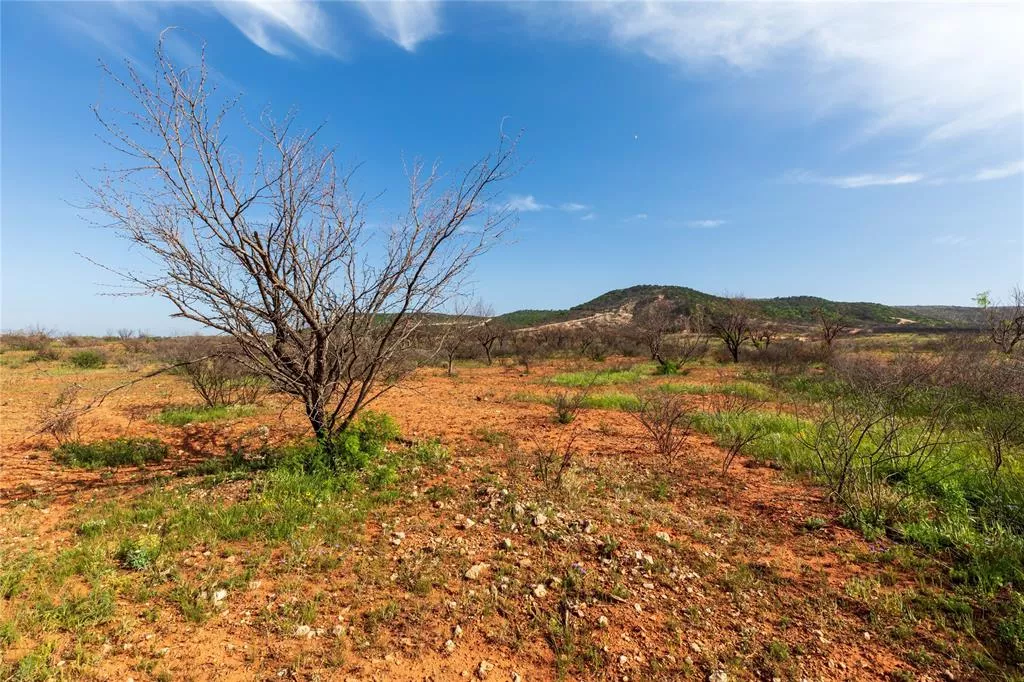 TBD County Road 321 Abilene, Texas 79606