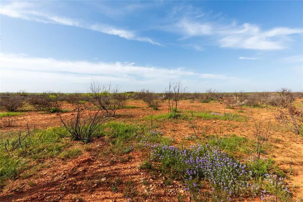 TBD County Road 321 Abilene, Texas 79606