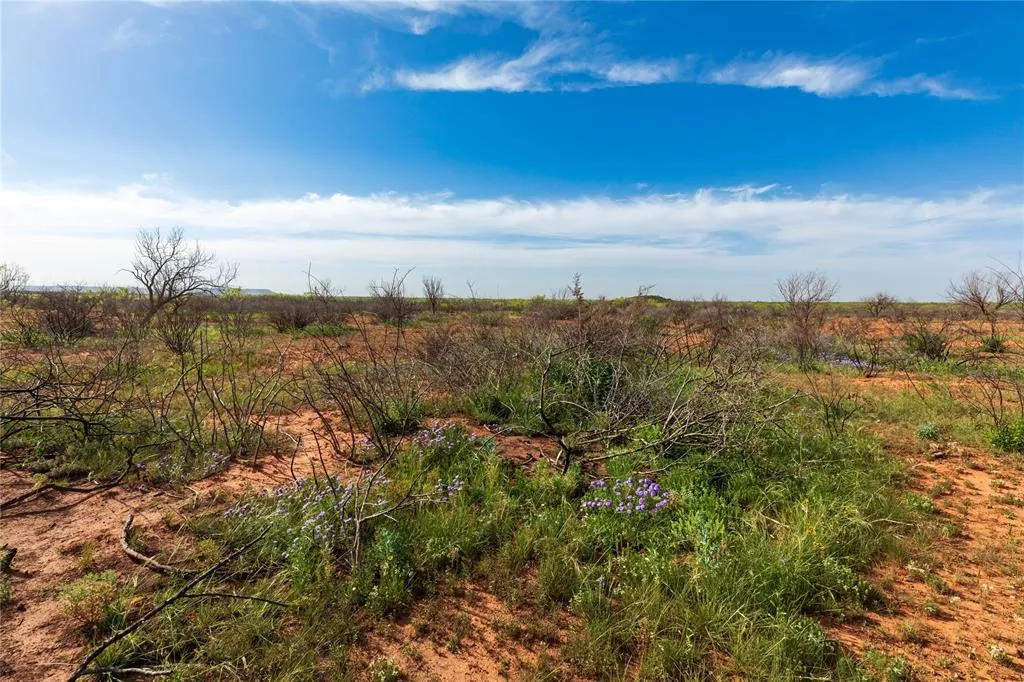 TBD County Road 321 Abilene, Texas 79606
