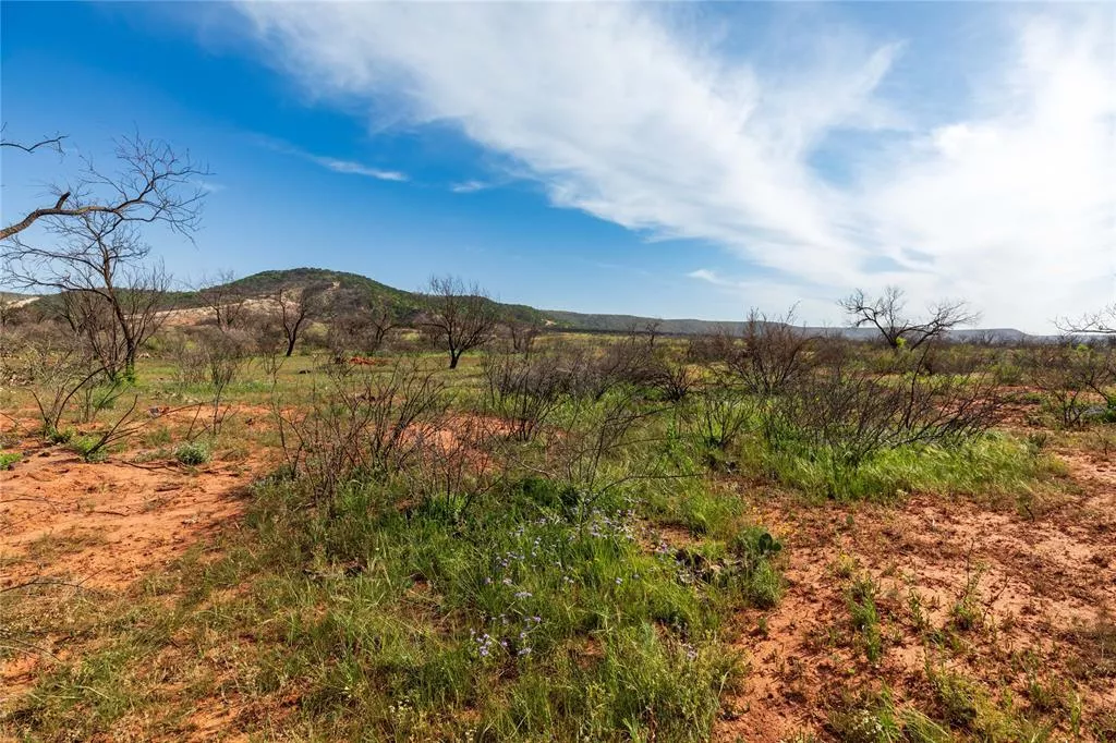 TBD County Road 321 Abilene, Texas 79606