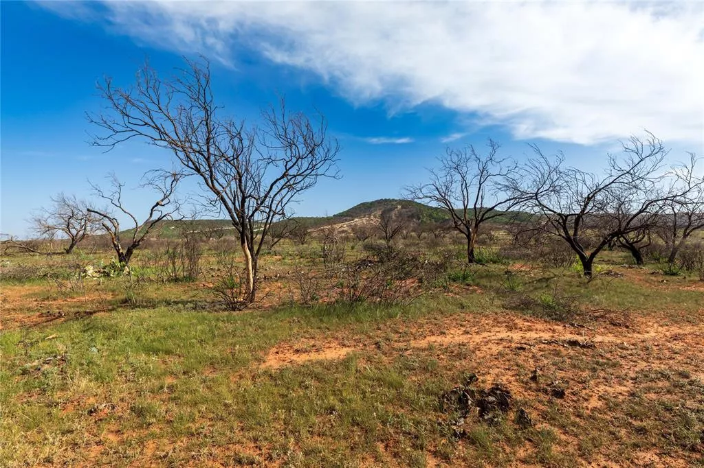 TBD County Road 321 Abilene, Texas 79606