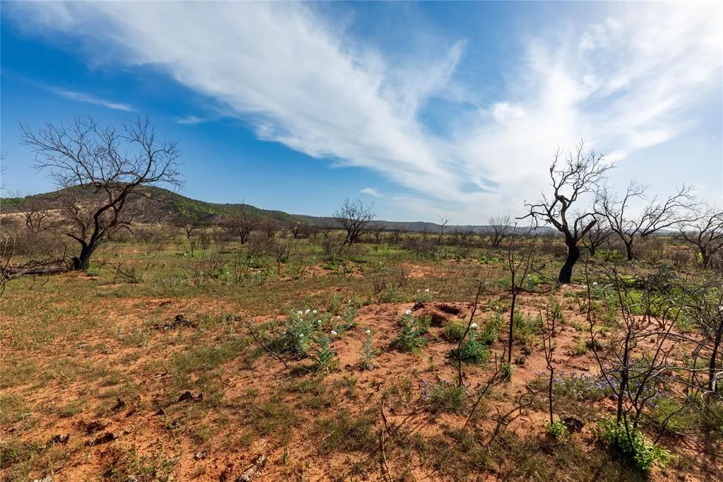 TBD County Road 321 Abilene, Texas 79606