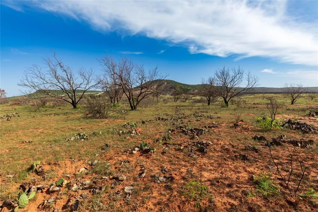 TBD County Road 321 Abilene, Texas 79606