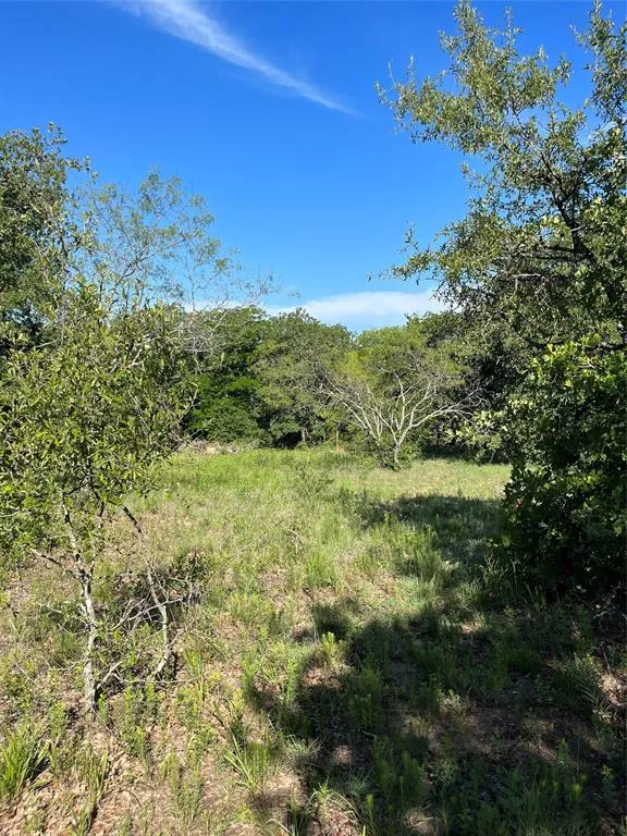 TBD Lot 39 Poolville, Texas 76487