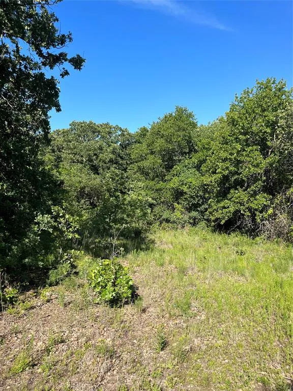 TBD Lot 40 Poolville, Texas 76487