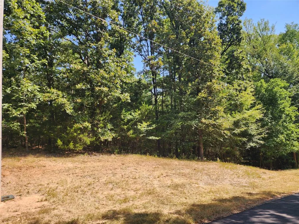 TBD Whispering Pine Trail, Mount Vernon, Texas 75457