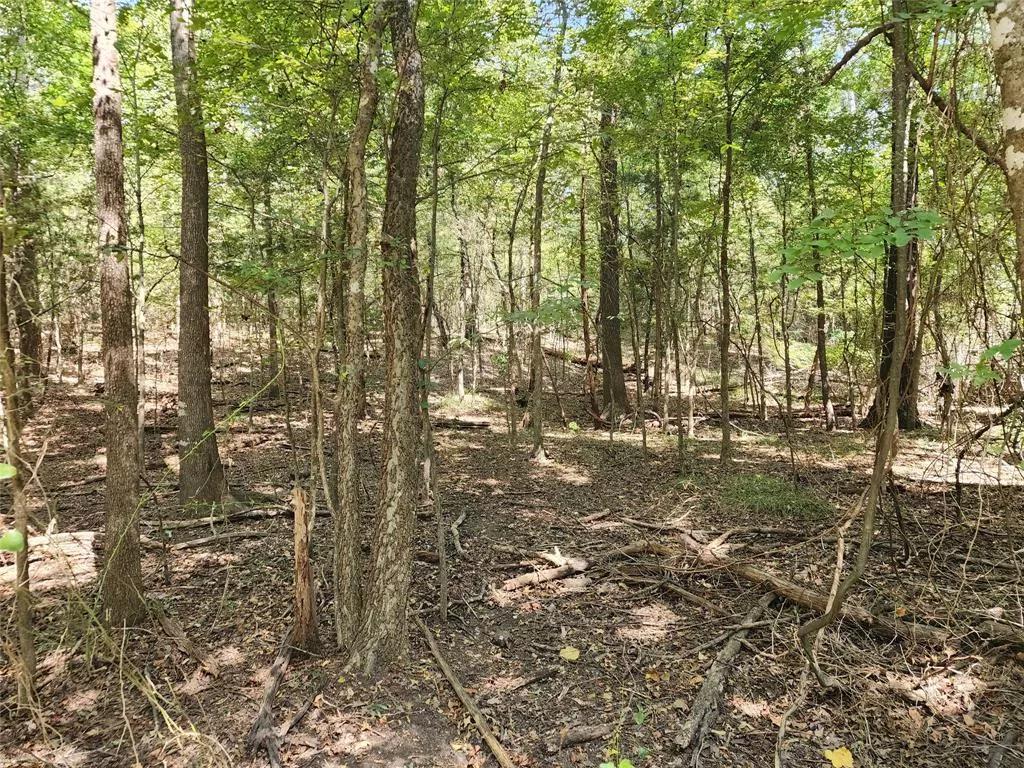 TBD Whispering Pine Trail, Mount Vernon, Texas 75457