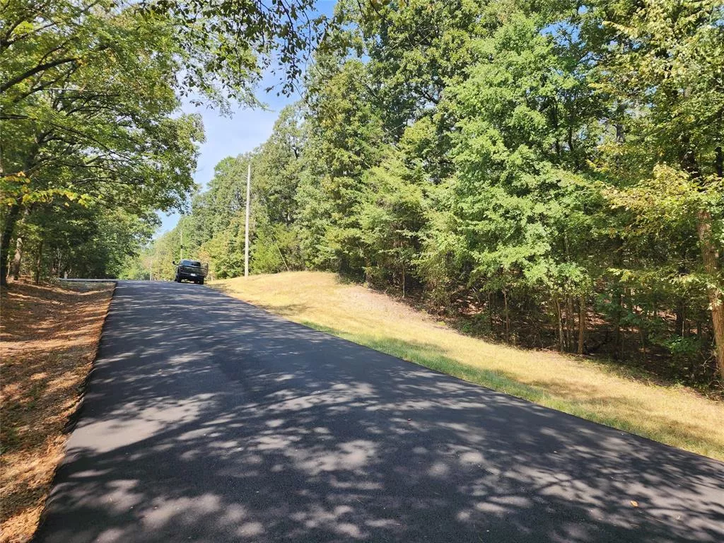 TBD Whispering Pine Trail, Mount Vernon, Texas 75457