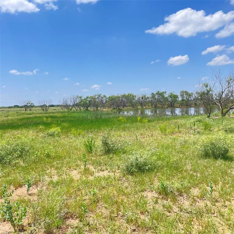 000 County Road 339 Early, Texas 76802