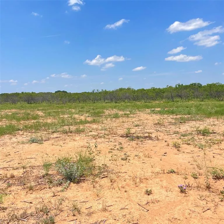 000 County Road 339 Early, Texas 76802