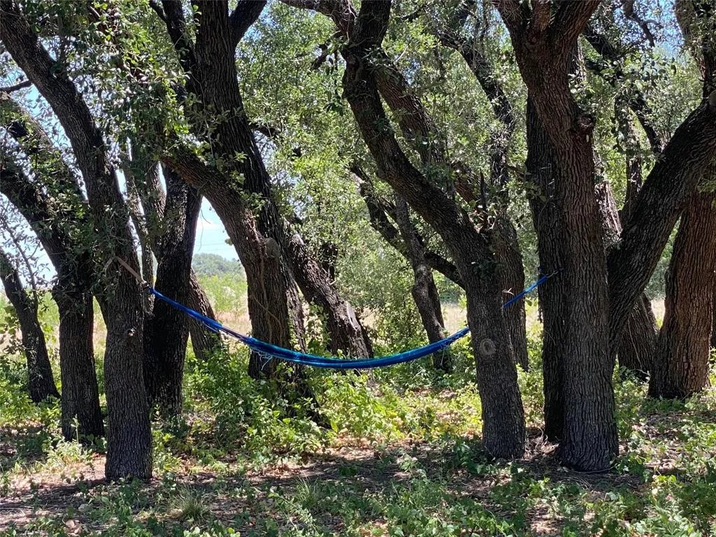 1672 Comanche County Road 343 Dublin, Texas 76446