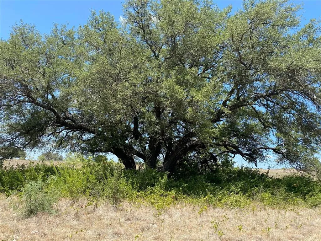 1672 Comanche County Road 343 Dublin, Texas 76446