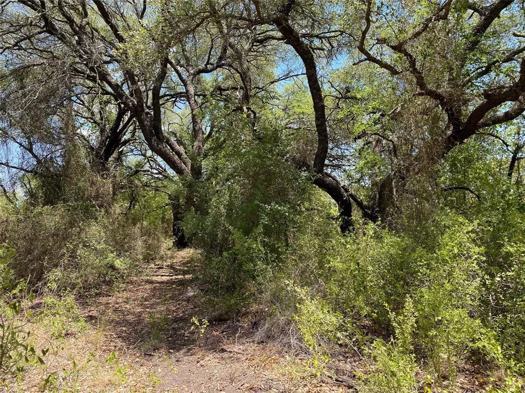 1672 Comanche County Road 343 Dublin, Texas 76446