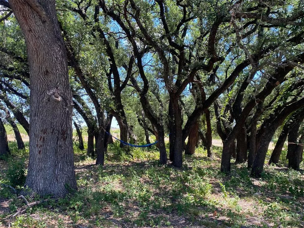 1672 Comanche County Road 343 Dublin, Texas 76446