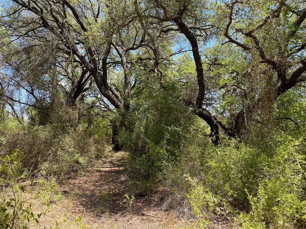 1672 Comanche County Road 343 Dublin, Texas 76446