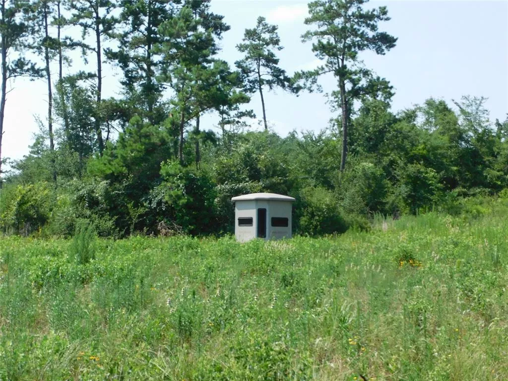 435 Fcr 300 Oakwood, Texas 75855