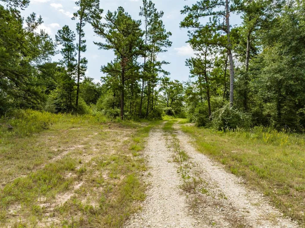 435 Fcr 300 Oakwood, Texas 75855