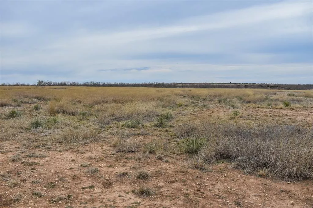 443 CR 420 Rochelle, Texas 76872