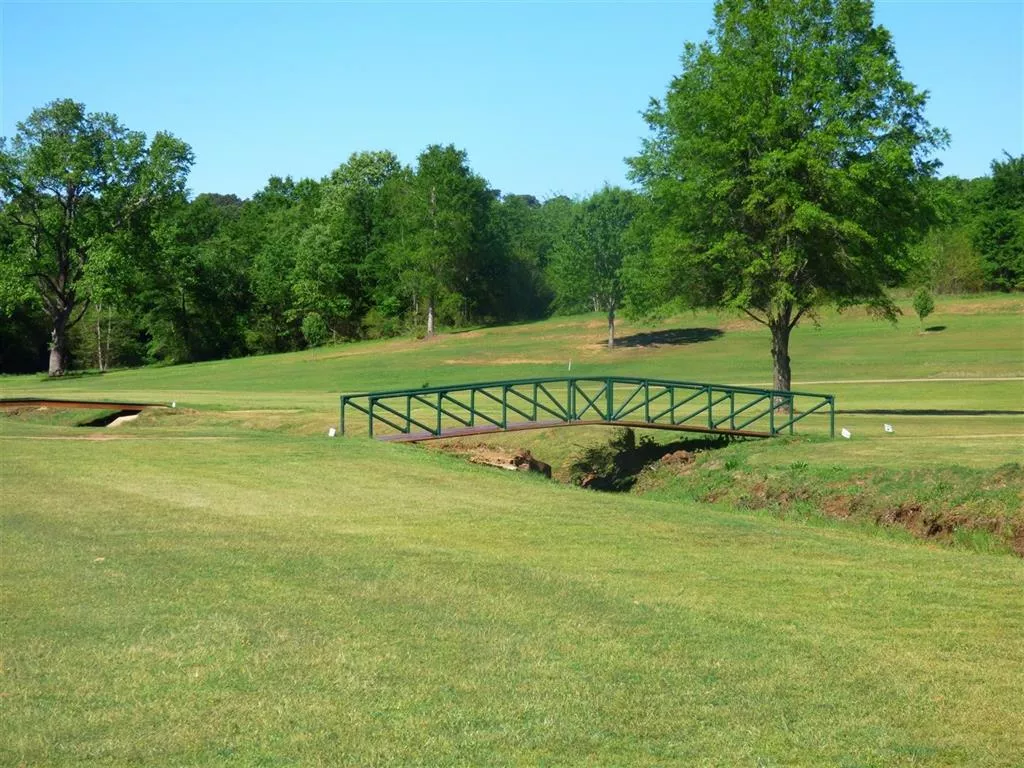 98 CR 2100 Daingerfield, Texas 75638