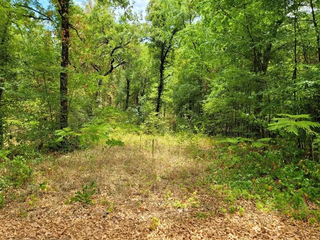 TBD County Road 259 Troup, Texas 75789