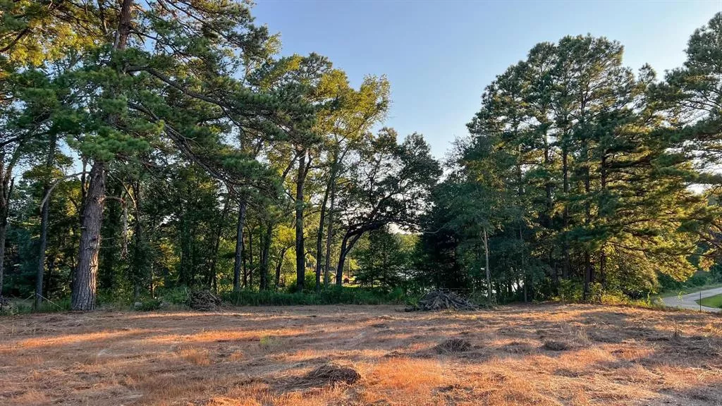 TBD CR 1770 Mount Pleasant, Texas 75455