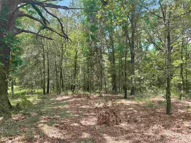 TBD Route 1 Deport Deport, Texas 75417