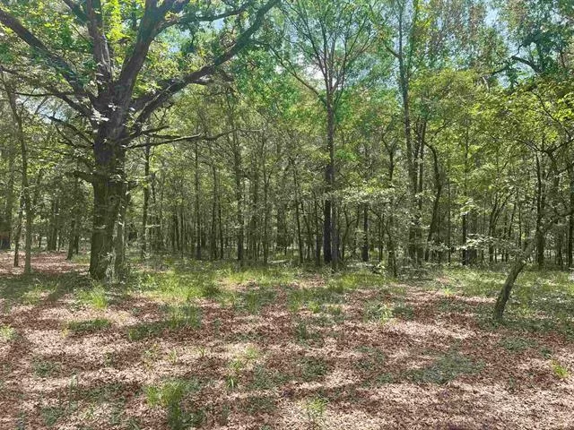 TBD Route 1 Deport Deport, Texas 75417